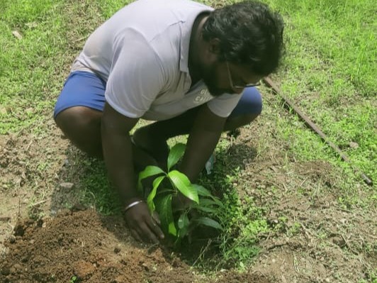 Sponsored Trees for New Library